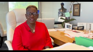 Zero Barriers to Business: Bronzeville - Chicago Urban League