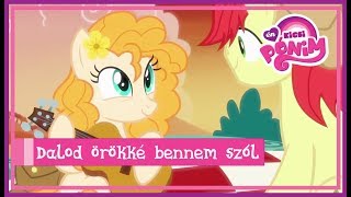 Mlpfim Youre In My Head Like A Catchy Song - Hungarian With Subles