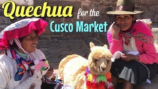#quechua #cusco today we will go to the unesco world heritage city,
cusco, peru learn a little of quechua language (cusco dialect) taught
by maestro m...