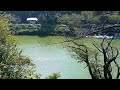 北の丸公園の高台から望む千鳥ヶ淵ボート場　＃皇居外苑