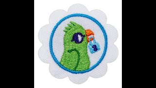 Troop 46990 Daisy Cybersecurity Safeguards