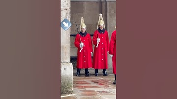 Funny guy makes Royal Guard Laugh at Buckingham Palace! #shorts #india #trending #guard #royal #top
