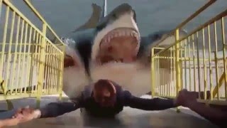 720Phd 3 Headed Shark Attack Official Teaser Clip 2015