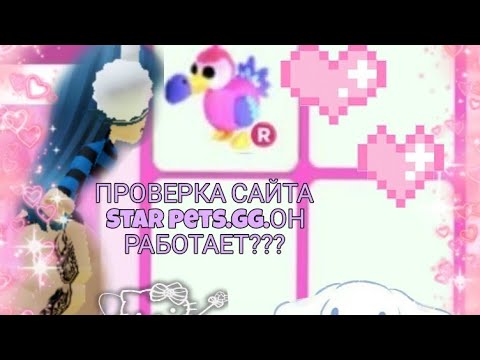 StarPets.gg - Масштабные тех. работы - что это значит и когда сайт  заработает