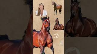 Colores de caballos: colorado #caballos #equinos #veterinaria #rancho
