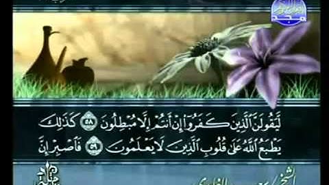 القرآن الكريم - الجزء الحادي والعشرون - تلاوة سعد الغامدي - 21