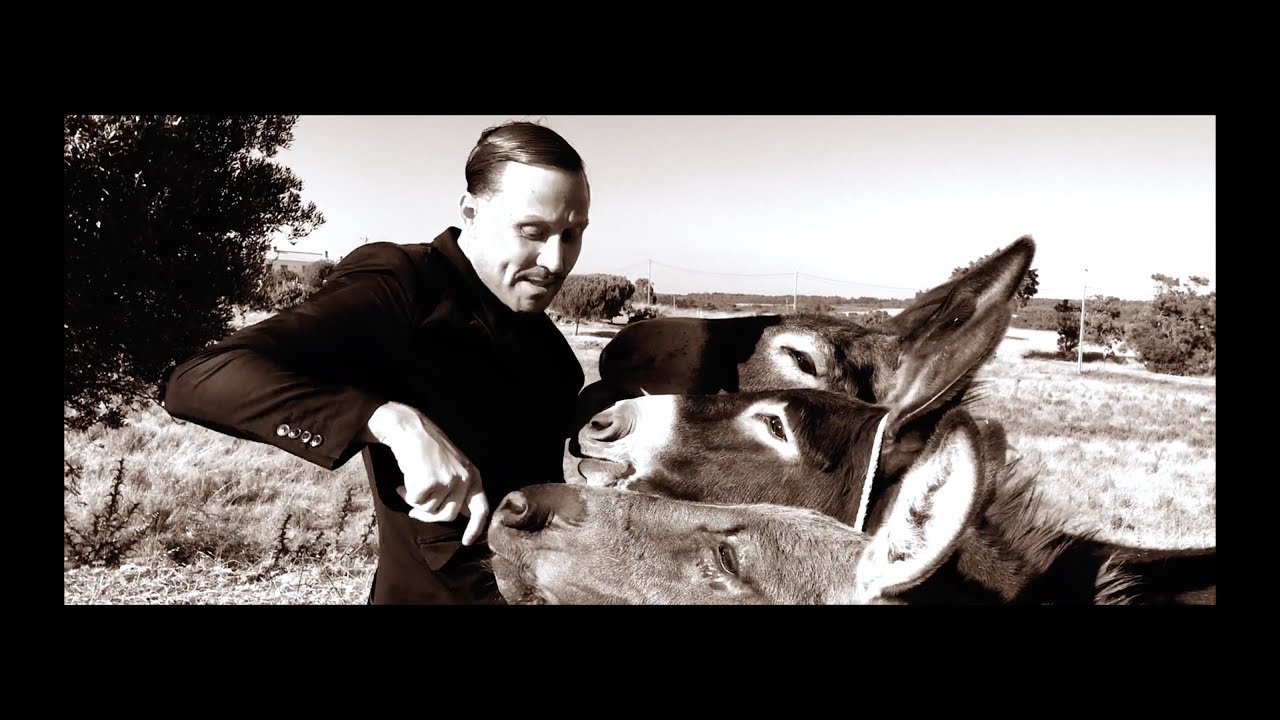 Patrick Siegfried Zimmer - 'Silhouette' (Official Video)