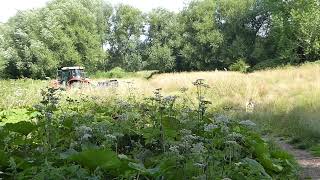 Annual cut of grassland on Brook Meadow 27 07 22