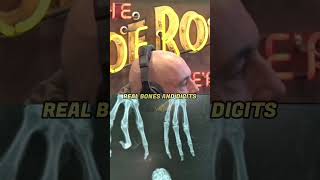 Rogan - Mysterious Mummies in Peru
