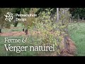 Ferme et verger naturel en normandie