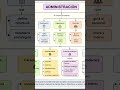 Mapa conceptual de Administración