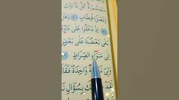 سورة ص الأية 22 إلى 23 بصوت سعد الغامدي #قران_كريم