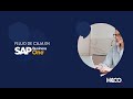 Flujo de caja en SAP Business One