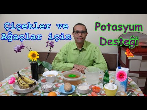 Video: Potas, bitkilerin büyümesine nasıl yardımcı olur?