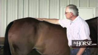 What's Your Horse's Body Condition Score?