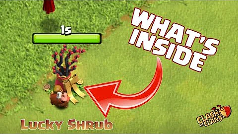 Inside The 'Lucky Shrub' #Shorts