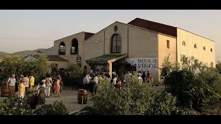 BODEGAS VIÑA CAMPANERO, (JUMILLA-MURCIA)