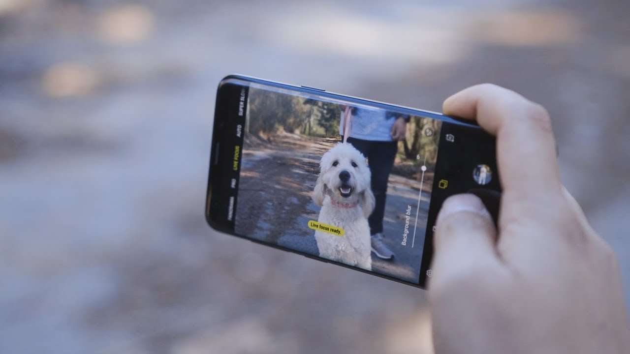 New Samsung Galaxy S9 + Live Focus | Come scattare ritratti di cani
