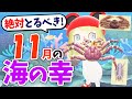 【あつ森】11月の海の幸を全て紹介！レアな海の幸の値段、速さ、見分け方のコツをコンプしながら徹底解説！タラバガニやズワイガニ、センジュナマコの効率の良い捕まえ方を紹介【あつまれどうぶつの森】