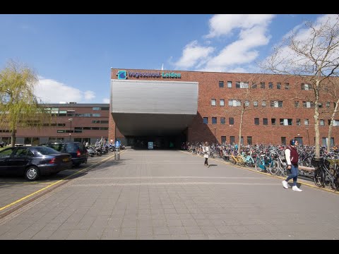 Facilitor - Rapportages bij Hogeschool Leiden