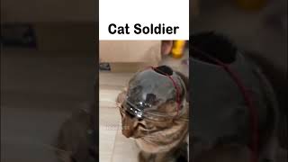 Cat Soldier