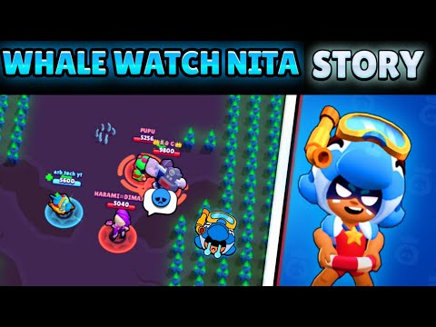 Whale Watch Nita Story Brawl Stars | Whale Watch Nita Story By Brawl With Nehal