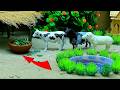 😍cow videos funny, Diy tractor, tractor, abcd, cattle, bommalu, tractor video Apr 30, 20268:32 AM