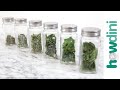 How to Dry Fresh Herbs in the Microwave: Howdini Hacks