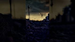 I posted a video of my pictures with the hope that I will get the attention of a photographer