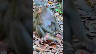 My Video 18