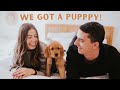 Day In The Life With Golden Retriever Puppy