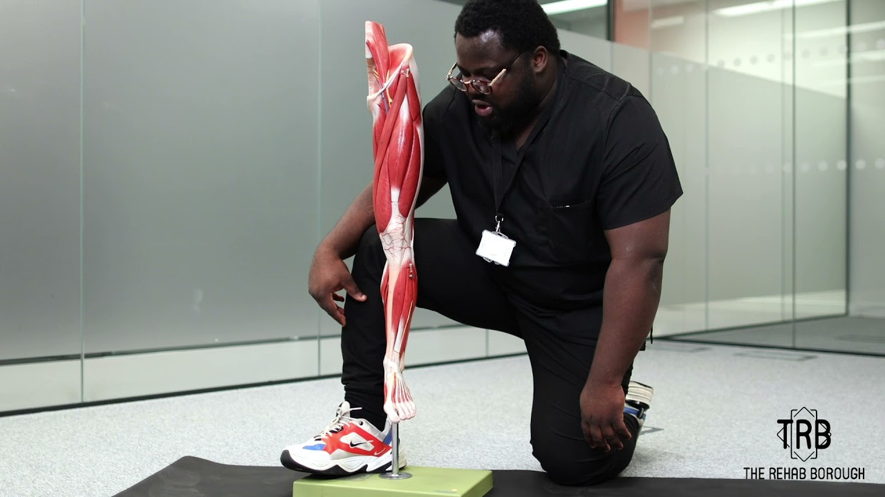 Tibial Stress Syndrome (Shin Splints)