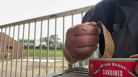 Ayam Brand Sardines in Tomato Sauce #sardines #sardinesrecipe #ayam #fish