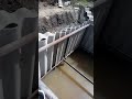 канализация из шифера и металлолома ( sewerage made of slate and scrap metal )