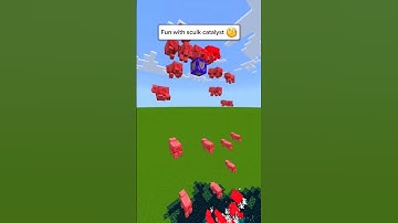 FUN WITH  SCULK CATALYST IN MINECRAFT! 🧐・#shorts