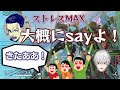 大概にsayよ 全世界待望のあれがついにでました 葛葉 叶 ボドカ CRカップ 大概にsayよ 全世界待望のあれがついにでました 葛葉 叶 ボドカ CRカップ