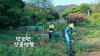 Life in the Korean countryside is fun with flower fields and vegetable gardens~!!