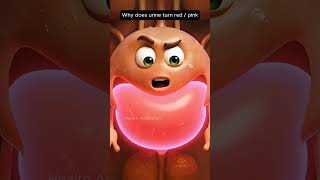 Why is urine red .#animation #health #knowledge #ukhealth... #Shorts #health.manager3