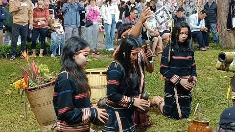 [ ĐỘC ĐÁO] Lễ mừng lúa mới của đồng bào dân tộc JRAI Tây Nguyên