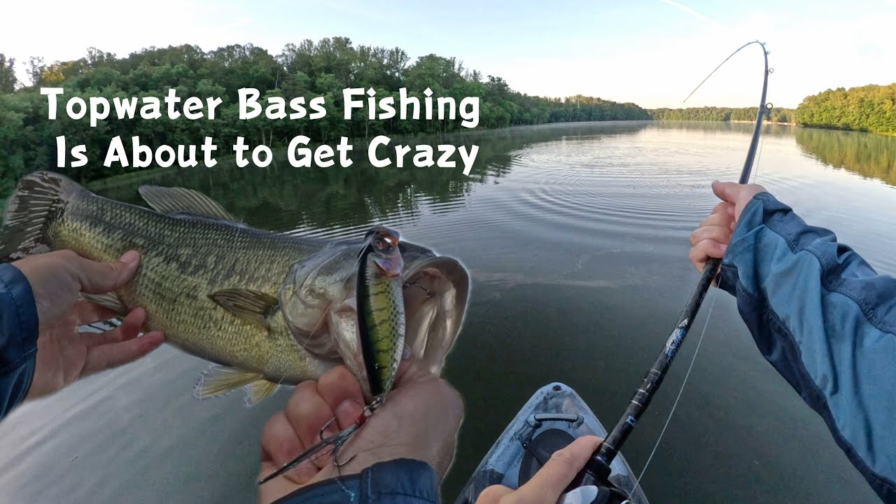 Topwater Bass Fishing Is About to Get Crazy!