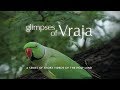 Glimpses Of Vraja - A short preview of the chapters available in the full series