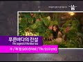 Legend of the Blue Sea 푸른 바다의 전설 - Korean Drama Preview