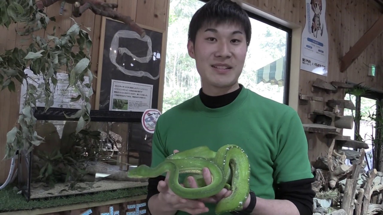 Let's touch snakes - YouTube