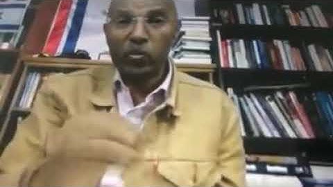 Tesfatsen tebeq talks about monica