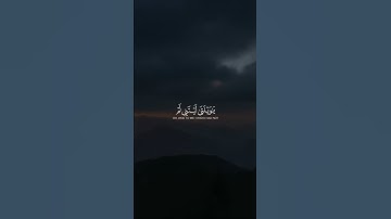 سورة | الفرقان 📖 آية | ٢٧ - ٢٨ - ٢٩ ♡ القارئ: طارق محمد. قرآن