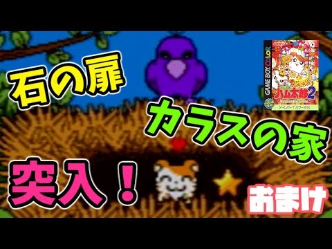 石の扉がついに開く!カラスの家へ訪問等!【とっとこハム太郎2 ハムちゃんず大集合でちゅ実況】