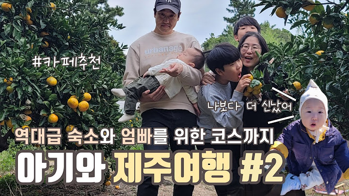 삼형제와 제주여행 2 | 역대급 가족숙소와 커마카세까지 온 가족 만만족 코스 | 제주도 브이로그