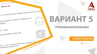 Новогодний Вариант №5 (1 часть) от Абеля