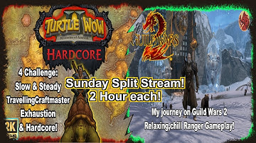 Sunday Split Stream: 2 hour Turtle WoW HC! 2 hour Guild Wars 2 ( as a new player) Relaxing gameplay!