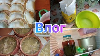 Закончились продукты /  Вареники с вишней / Холодец / Anika Z влог